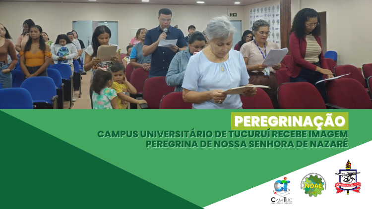 Visita da imagem peregrina de Nossa Senhora de Nazaré