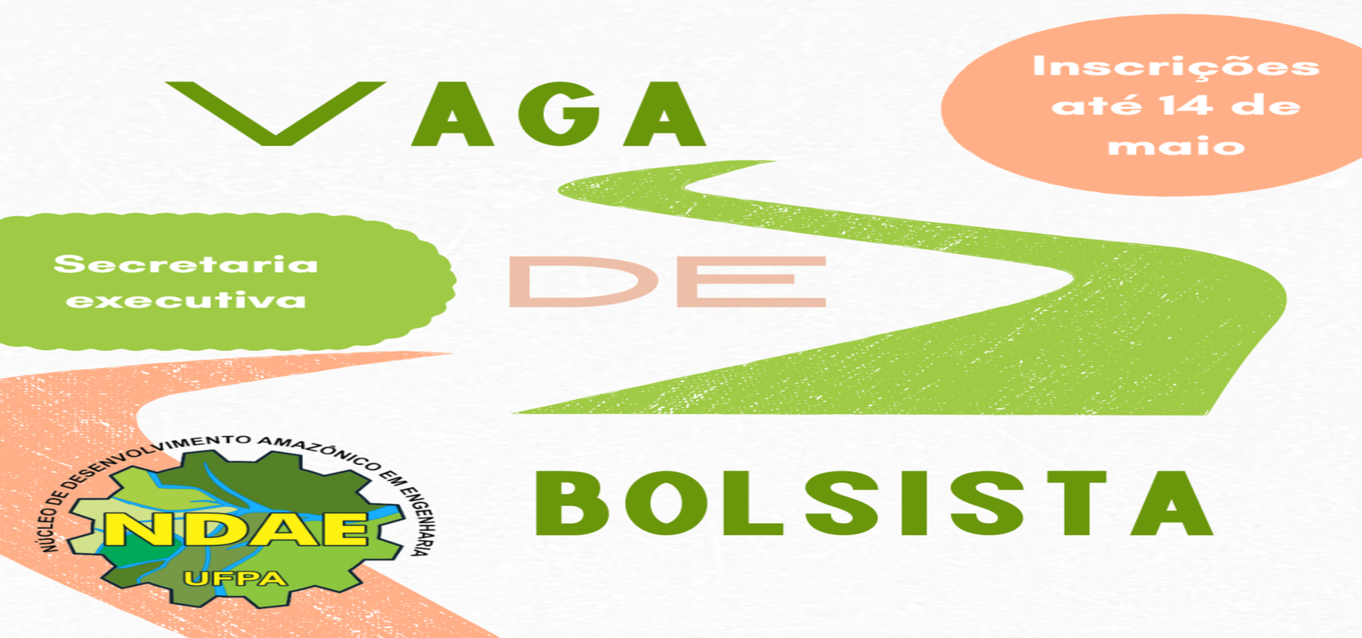 📢 Seleção de Bolsista – Secretaria Executiva do NDAE